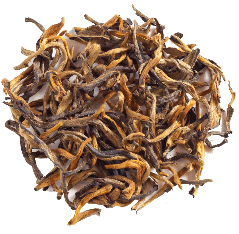 TeaCha Golden Needle Yunnan Red – TeaCha Tea